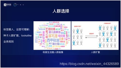 2024年跑狗图今天的|深度解答解释落实_YE版.4.224