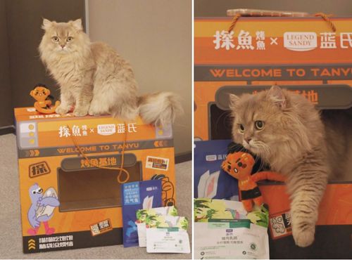 猫咪和汤无限钻石全解锁最新版2024下载-猫咪和汤无限钻石官方版下载v.6.27